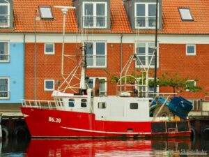 IMG_1727-300×225