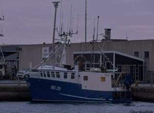IMG_2367-1-300×220