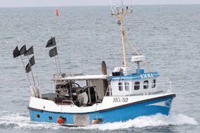 Billede2