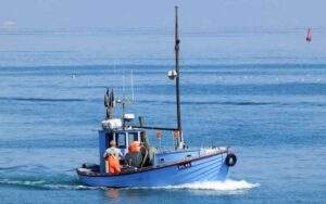 Billede20-300×188