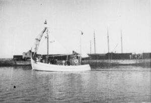 Billede3-300×204