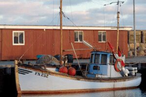Billede41-300×200