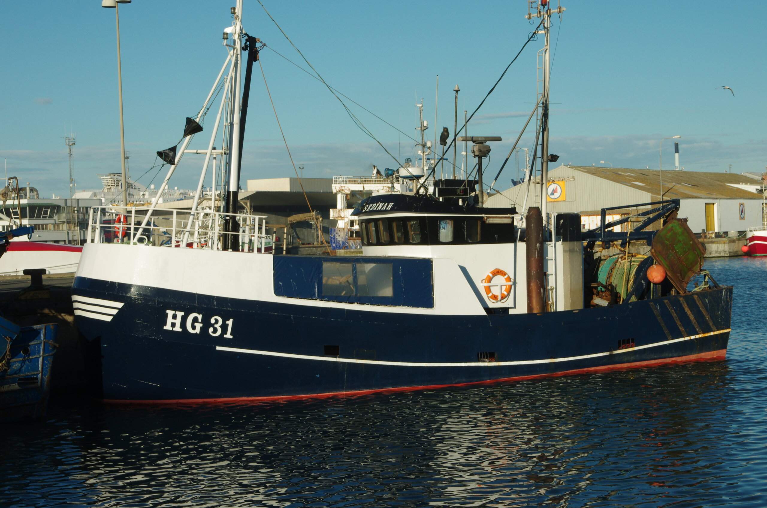 IMGP7705